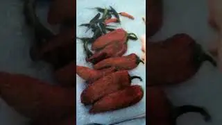 Andrejs Ko painting process time laps