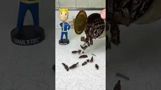 Opening 1950&rsquo;s Can of Fried GRASSHOPPERS!