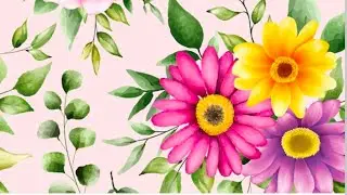 ShamashaikhBA786 is live! good evening everyone