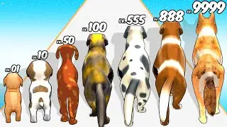 Dog Evolution Run - Level Up Dog Max Level ASMR (Satisfying) Gameplay