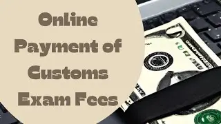 Guide to Online Payment of Customs Exam Fees
