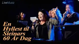 En hyllest til STEINAR KROKSTAD | VHO
