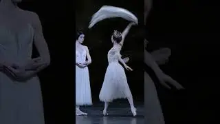 Act II of Giselle (Natalia Osipova)