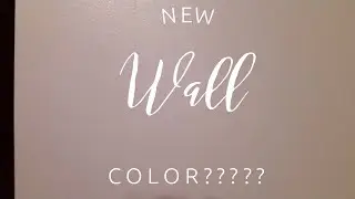 Trying A New Color Scheme| Sherwin Williams AGREEABLE Gray