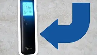 Typhur Sync Gold Wireless Meat Thermometer &ndash; Honest Review & Real Cooking Test