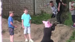 Morphsuit prank