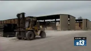 Mo PAC Lumber's walnut legacy: from a coal shovel to a global woodworking powerhouse