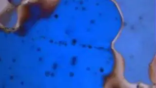 Formation of apparent microcrack in polycrystalline camphor