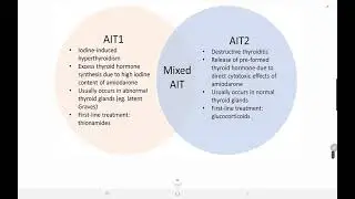 Thyroid effects of Amiodarone