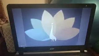NBC Peacock Logo in Walt Disney Animation Studios Logo Audio