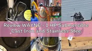 Review WAYNE - 1 HP Submersible Cast Iron and Stainless Steel Sump Pump with Integrated Vertical Flo