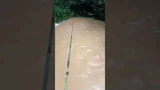 #vidanointerior