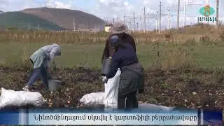 vard kalijyan