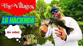 Fearless Fishing in The Villages, FL: Conquer the Ultimate Challenge