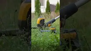 Never Cut More Than 1/3 of Grass 🌱