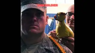 Others laughing at the Rubber Duck vs This Soldier #edit #trendingshorts #trollface #viralshort