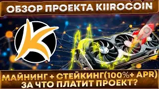 📌 Обзор блокчейна Kiiro, Майнинг + стейкинг 100%+ APR, разгон  Проекты Kiirogame, Kiiroscan