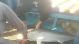 Karamat fishing
