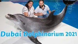 Dubai Dolphin Show ||4k||mallutraveller dolphinvlog|dolphinvlog mallutraveller| Dolphin show 2021