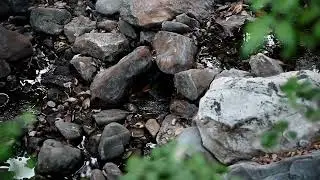 12 Days of Christmas - Day 6 - Running Creek Handheld - Short  #calm #water #relaxing #stressrelief