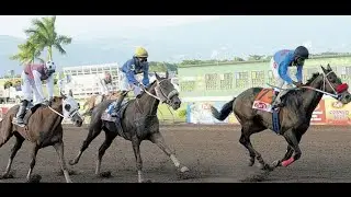 Orpheus (JAM) - Jamaica Derby 2016