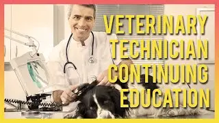 Veterinary Technician Continuing Education