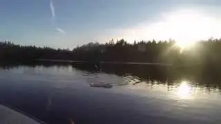 &Ouml;ring p&aring; torrfluga