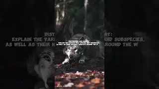 Wolf Distribution|Wolves Around the World: A Global Expedition