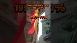 Belgium's White Population Over Time