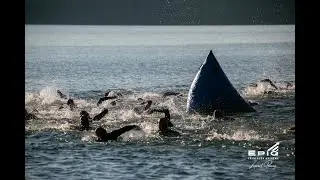 ÉPIQ Triathlon - Triathlon ÉPIQ 2025