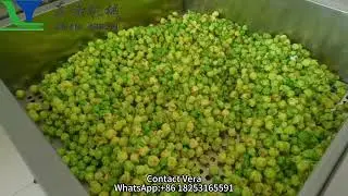 Electric Induction Popcorn Making Machine Procorn Maker Caramal Coating #popcorn #popcornmachine