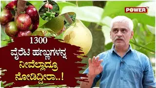 Mannina Maga Rajendra Hindumane : ವಿದೇಶಿ ಹಣ್ಣಿನ ತಳಿಗಳನ್ನ ಬೆಳೆಸಿರುವ ಆಧುನಿಕ ರೈತ | Power TV News