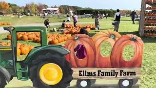 Visiting Ellms Family Farm
