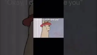 I do not forgive you llamas with hats