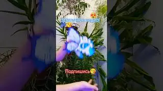 #драконыизтт #dragon #dragondesign #бумажныедраконы #дракон #драконынаруку