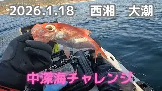 「釣行記」2026年1月18日　西湘