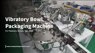 6- Station Vibratory Feeders Counting Packing Machine Solution