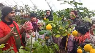 Սեբաստացիները  ABIO ջերմոցում են. շրջայց և գործնական  հետաքրքիր հանդիպում