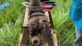 Cow's foot Tv Cleaning soil and remove the screw from cow hoof esp.2000