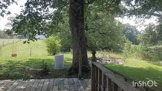 Calming sounds on backdeck