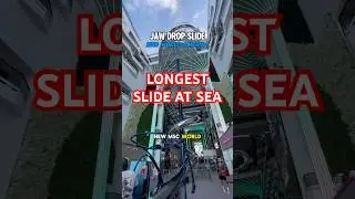 LONGEST dry slide at sea | MSC WORLD AMERICA! @msccruisesusa #mscworldamerica #msccruises #cruise