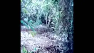 Pal Monte PR vacilando