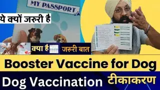 Dogs🐶 or Puppy🐶 का Vaccination Card ज़रूर बनाए 😰😰 नहीं बनाये तो हो सख़्ती है Problem 😱😱