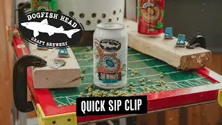 Dogfish Head Quick Sip Clip: 30 Minute Light IPA