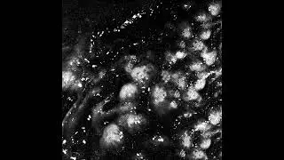 CHEMICAL CASTRATION x ASMODEXIA / 