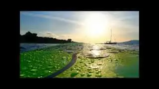 Waterdaze at ClubLocarno