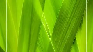 David Museen - Wenpool (Original Mix)