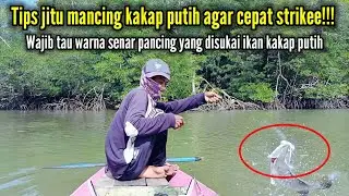 Pilihan tepat warna senar pancing untuk mancing kakap putih ketika air bening#mancingkakapputih