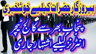 How to apply college teacher interns job 2021