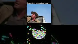 Two wolves in th wilderness movie explain in hindi #shortsfeed #explore